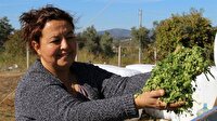 KOSGEB desteği aldı sosyal medyada kanalıyla işleri büyüttü