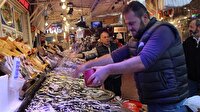 Hamsi iki ayda 1,7 milyon dolar kazandırdı
