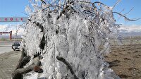 Meteorolojiden 5 il için zirai don ve buzlanma uyarısı