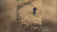 Arkadaşını yaban domuzu kovalayan adamın inanılmaz mutluluğu