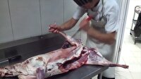 Moğol kasap 6 dakikada kuzuyu parçalarına ayırdı