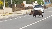 İzmir'de sürücülere zor anlar yaşattı