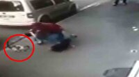 Deli yürek kedi kaldırımda yürüyen köpek ve sahibine saldırdı