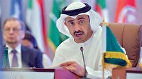 BAE Tunus'a 'Nahda' baskısı yapıyor