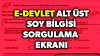 e-Devlet alt üst soy ağacı sorgulama ekranı