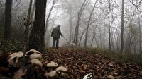 Ormanda bulduğu mantar sayesinde zengin oldu