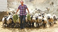 300 koyun projesine
başvuru başladı