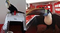 Erzincan'da ele geçirildi: Fiyatı: 25 bin lira
