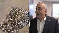 Fakıbaba "300 koyun" projesine açıklık getirdi