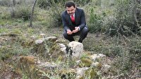 Şehit üsteğmenin mezarı 103 yıl sonra bulundu