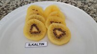 Türkiye'nin ilk yerli kivisi