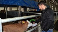 Siyaset okudu, aldığı destek ile çiftlik kurdu