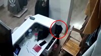 Bozuk paraları beğenmeyen hırsız kamerada
