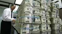 Şimşek: 2118 şirket hakkında veri toplanıyor