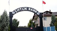 Çiftlik Bank'ın tavukları satıldı