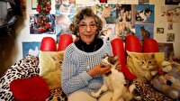 20 yılda 5 bin kediyi tedavi ettirdi