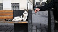 İstanbul'un asıl müdavimleri