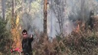 Aydos Ormanı'nda yangın çıktı