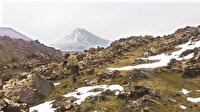 Ağrı’dan acı haber: 2 şehit
