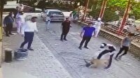 Pitbull sokak kedisini paramparça etti!
