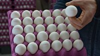 Yumurtanın kabuğunda yoksa 174'ü arayın