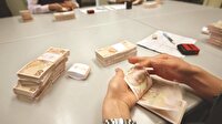 Bankacılıkta
kredi sistemi için neşter