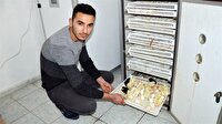 Hobi için başladı, şimdi ihracatını yapıyor