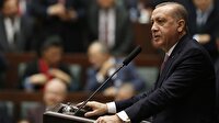 Cumhurbaşkanı Erdoğan'ın 'aşama aşama' stratejisi