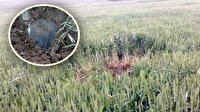 Kırklareli'nde tarlada bomba bulundu
