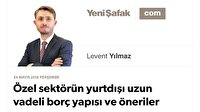 Özel sektörün yurtdışı uzun vadeli borç yapısı ve öneriler