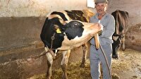 Bu halde yaşamaz dediler: Görenleri şaşkına çeviriyor