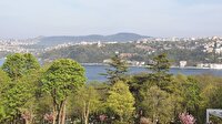 Yeşil beyanname