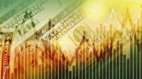 Dolar operasyonu ters tepti