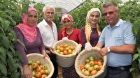 Domates 3 lirayı geçecek