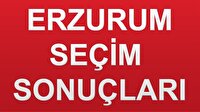 Erzurum Seçim 2018 Genel Seçim Sonuçları
