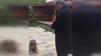 Cumhurbaşkanı Erdoğan sevimli köpeğe yiyecek verdi