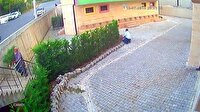 Cemaat namazdayken 12 dakikada 31 ağacı kestiler