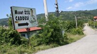 Mesut Özil'e hemşehrilerinden destek
