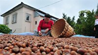 Fındık fiyatı için '14 lira olsun' önerisi