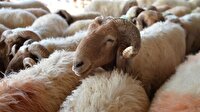 Kurban Bayramı ne zaman başlıyor?
