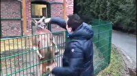 Kangurunun sahte mehdi Tuncer Çiftçi'yle imtihanı kamerada