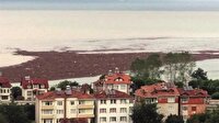 Ordu'da bin 100 ton fındık zarar gördü