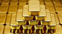 Borsa İstanbul'da işlem gören altın hissleri