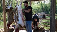 Kurban eti nasıl dağıtılmalı?