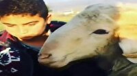 Küçük çocuğun kurbanlıklarla imtihanı