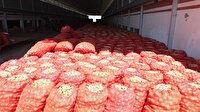 Bandırma’da soğan hasadı başladı