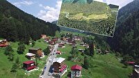 Ayder Yaylası için harekete geçildi