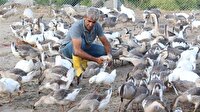 Öğretmenlikten emekli olunca hayatını değiştirdi