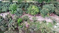 Fındık bahçesinden 'tarih' çıktı