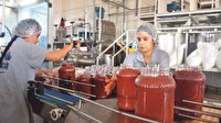 Domates tatlı
salçası acı
